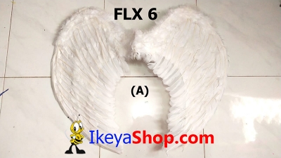 large2 FLX 6a